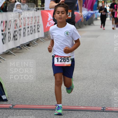 06.09.2026 - CURREX Alsterlauf Strokosch-Dieckow http://msf.ph/oto/10148321 06.09.2026 12:01:29 Ziel 1073, 1147, 1155, 1156, 1243, 1265 meine-sportfotos.de
