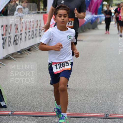 06.09.2026 - CURREX Alsterlauf Strokosch-Dieckow http://msf.ph/oto/10148327 06.09.2026 12:01:30 Ziel 1073, 1147, 1155, 1156, 1243, 1265 meine-sportfotos.de