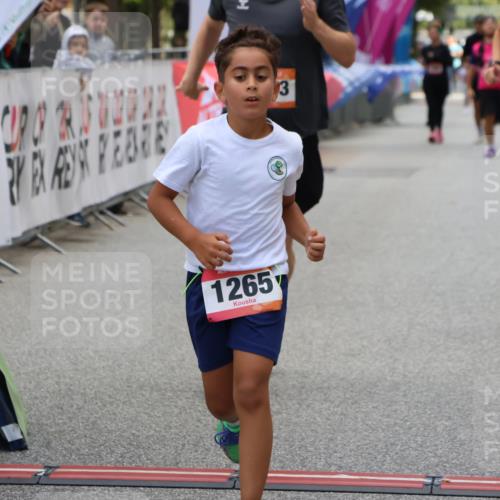 06.09.2026 - CURREX Alsterlauf Strokosch-Dieckow http://msf.ph/oto/10148329 06.09.2026 12:01:30 Ziel 1073, 1147, 1155, 1156, 1243, 1265 meine-sportfotos.de