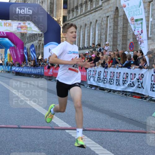 06.09.2026 - CURREX Alsterlauf Strokosch-Dieckow http://msf.ph/oto/10149203 06.09.2026 10:52:06 Ziel 255 meine-sportfotos.de