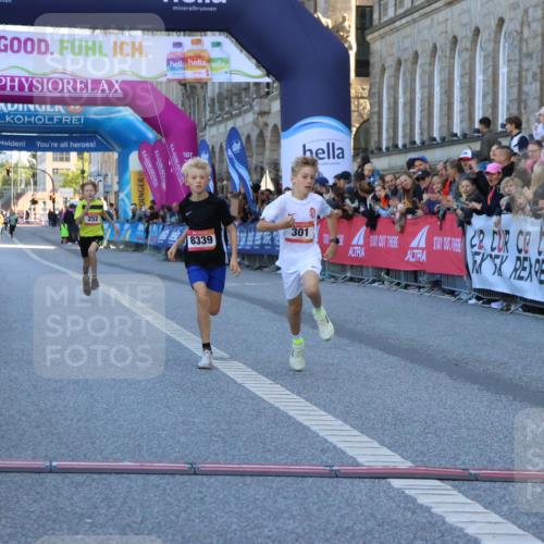 06.09.2026 - CURREX Alsterlauf Strokosch-Dieckow http://msf.ph/oto/10149210 06.09.2026 10:52:15 Ziel 252, 301, 8339 meine-sportfotos.de