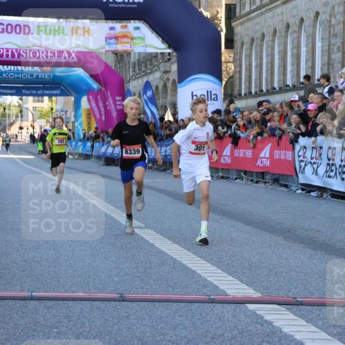 06.09.2026 - CURREX Alsterlauf Strokosch-Dieckow http://msf.ph/oto/10149212 06.09.2026 10:52:15 Ziel 252, 301, 8339 meine-sportfotos.de