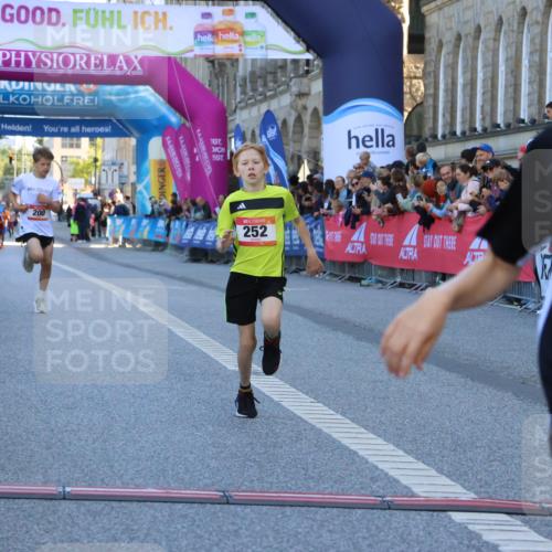 06.09.2026 - CURREX Alsterlauf Strokosch-Dieckow http://msf.ph/oto/10149215 06.09.2026 10:52:17 Ziel 200, 252, 301, 8339 meine-sportfotos.de