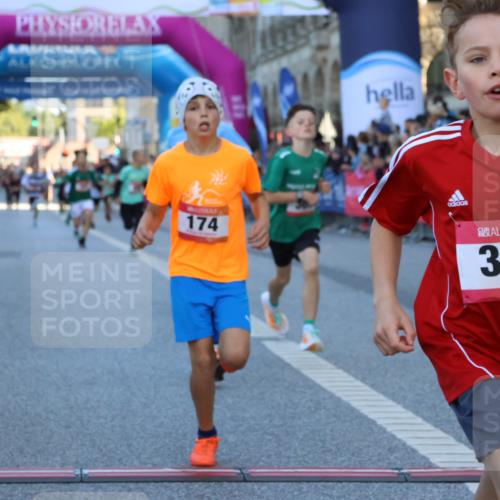 06.09.2026 - CURREX Alsterlauf Strokosch-Dieckow http://msf.ph/oto/10149236 06.09.2026 10:52:35 Ziel 161, 174, 213, 307, 316 meine-sportfotos.de