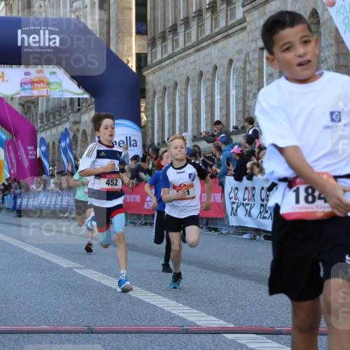06.09.2026 - CURREX Alsterlauf Strokosch-Dieckow http://msf.ph/oto/10149258 06.09.2026 10:52:45 Ziel 161, 182, 184, 268, 281, 293, 355, 408, 409, 452 meine-sportfotos.de