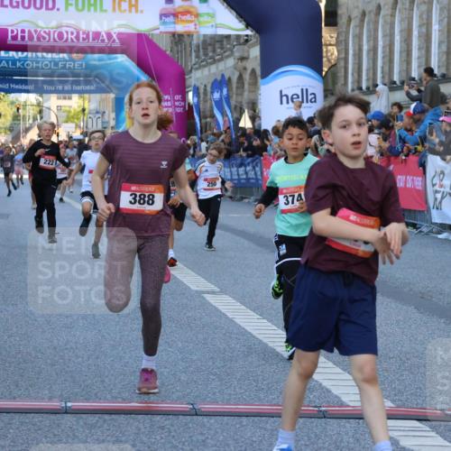 06.09.2026 - CURREX Alsterlauf Strokosch-Dieckow http://msf.ph/oto/10149273 06.09.2026 10:52:53 Ziel 151, 178, 222, 223, 250, 280, 281, 293, 355, 374, 388, 408, 452 meine-sportfotos.de