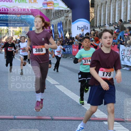 06.09.2026 - CURREX Alsterlauf Strokosch-Dieckow http://msf.ph/oto/10149276 06.09.2026 10:52:53 Ziel 151, 178, 222, 223, 250, 280, 281, 293, 355, 374, 388, 408, 452 meine-sportfotos.de