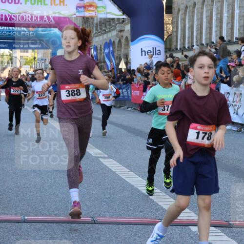 06.09.2026 - CURREX Alsterlauf Strokosch-Dieckow http://msf.ph/oto/10149277 06.09.2026 10:52:53 Ziel 151, 178, 222, 223, 250, 280, 281, 293, 355, 374, 388, 408, 452 meine-sportfotos.de