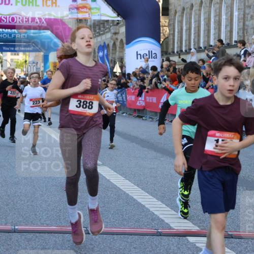 06.09.2026 - CURREX Alsterlauf Strokosch-Dieckow http://msf.ph/oto/10149283 06.09.2026 10:52:53 Ziel 151, 178, 222, 223, 250, 280, 281, 293, 355, 374, 388, 408, 452 meine-sportfotos.de