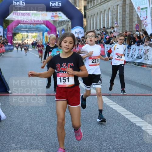 06.09.2026 - CURREX Alsterlauf Strokosch-Dieckow http://msf.ph/oto/10149289 06.09.2026 10:52:56 Ziel 151, 158, 178, 222, 223, 250, 251, 280, 293, 374, 388, 430 meine-sportfotos.de