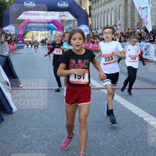 06.09.2026 - CURREX Alsterlauf Strokosch-Dieckow http://msf.ph/oto/10149294 06.09.2026 10:52:57 Ziel 151, 158, 178, 222, 223, 250, 251, 280, 293, 374, 388, 430 meine-sportfotos.de