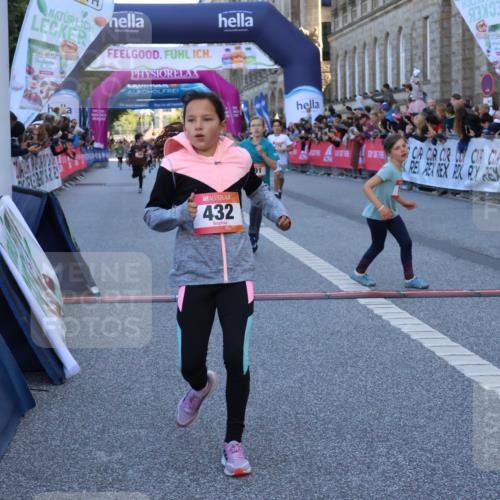 06.09.2026 - CURREX Alsterlauf Strokosch-Dieckow http://msf.ph/oto/10149311 06.09.2026 10:53:09 Ziel 168, 170, 183, 246, 247, 272, 282, 303, 432 meine-sportfotos.de