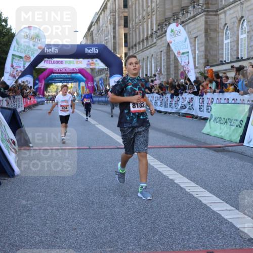 06.09.2026 - CURREX Alsterlauf Strokosch-Dieckow http://msf.ph/oto/10149333 06.09.2026 10:53:17 Ziel 170, 175, 183, 204, 210, 272, 309, 8182, 8220, 8262 meine-sportfotos.de