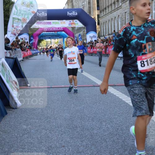 06.09.2026 - CURREX Alsterlauf Strokosch-Dieckow http://msf.ph/oto/10149336 06.09.2026 10:53:18 Ziel 170, 175, 183, 186, 204, 210, 309, 397, 420, 8182, 8220, 8262 meine-sportfotos.de
