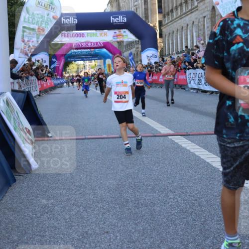 06.09.2026 - CURREX Alsterlauf Strokosch-Dieckow http://msf.ph/oto/10149343 06.09.2026 10:53:19 Ziel 170, 175, 183, 186, 204, 210, 309, 397, 420, 8182, 8220, 8262 meine-sportfotos.de