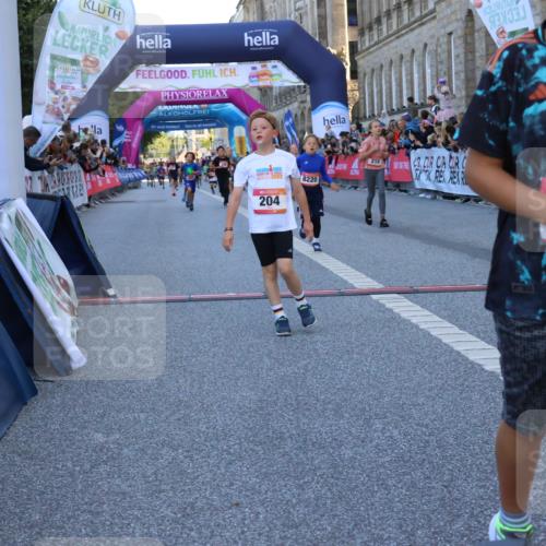 06.09.2026 - CURREX Alsterlauf Strokosch-Dieckow http://msf.ph/oto/10149344 06.09.2026 10:53:19 Ziel 170, 175, 183, 186, 204, 210, 309, 397, 420, 8182, 8220, 8262 meine-sportfotos.de