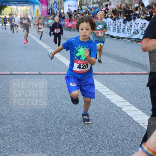 06.09.2026 - CURREX Alsterlauf Strokosch-Dieckow http://msf.ph/oto/10149347 06.09.2026 10:53:24 Ziel 175, 186, 204, 210, 227, 233, 314, 317, 336, 397, 420, 8124, 8220, 8262 meine-sportfotos.de
