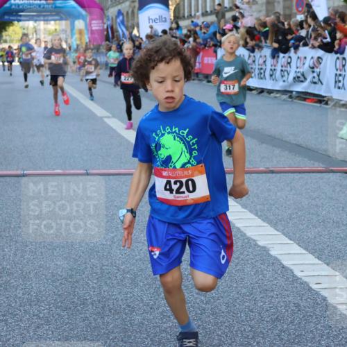 06.09.2026 - CURREX Alsterlauf Strokosch-Dieckow http://msf.ph/oto/10149351 06.09.2026 10:53:25 Ziel 175, 186, 204, 210, 227, 233, 314, 317, 336, 397, 420, 8124, 8220, 8262 meine-sportfotos.de