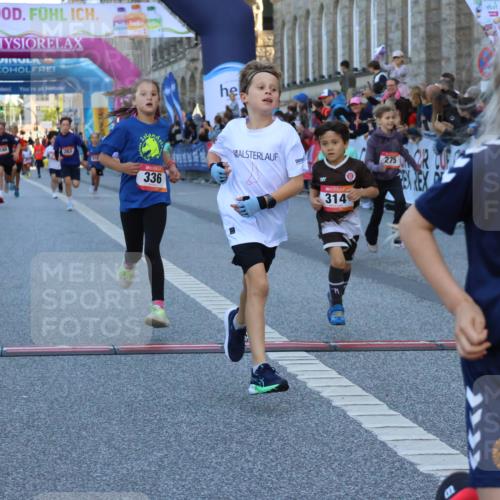 06.09.2026 - CURREX Alsterlauf Strokosch-Dieckow http://msf.ph/oto/10149364 06.09.2026 10:53:29 Ziel 175, 186, 190, 227, 233, 263, 275, 314, 317, 336, 338, 397, 420, 8124, 8180, 8262, 8329 meine-sportfotos.de
