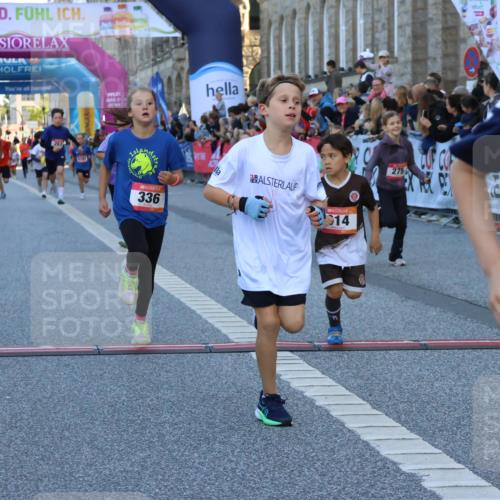 06.09.2026 - CURREX Alsterlauf Strokosch-Dieckow http://msf.ph/oto/10149367 06.09.2026 10:53:29 Ziel 175, 186, 190, 227, 233, 263, 275, 314, 317, 336, 338, 397, 420, 8124, 8180, 8262, 8329 meine-sportfotos.de