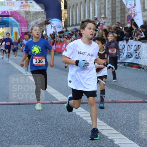 06.09.2026 - CURREX Alsterlauf Strokosch-Dieckow http://msf.ph/oto/10149372 06.09.2026 10:53:30 Ziel 186, 190, 227, 233, 263, 274, 275, 314, 317, 336, 338, 397, 402, 420, 8124, 8180, 8181, 8329 meine-sportfotos.de