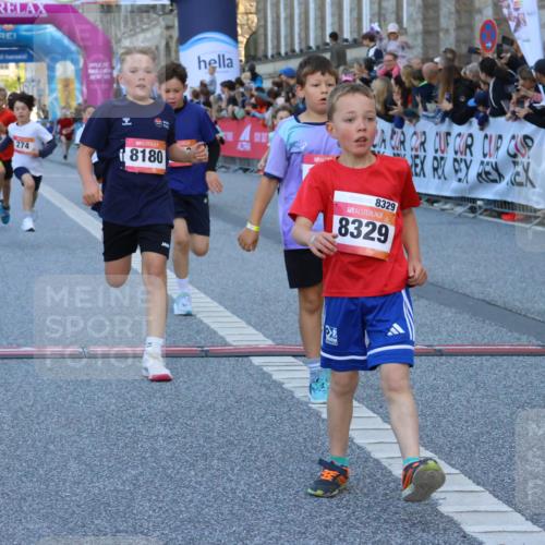 06.09.2026 - CURREX Alsterlauf Strokosch-Dieckow http://msf.ph/oto/10149376 06.09.2026 10:53:33 Ziel 190, 227, 233, 263, 266, 274, 275, 306, 314, 330, 336, 338, 402, 415, 445, 8124, 8180, 8181, 8329 meine-sportfotos.de