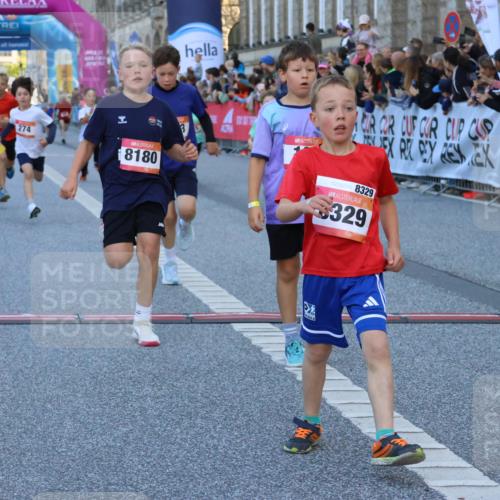 06.09.2026 - CURREX Alsterlauf Strokosch-Dieckow http://msf.ph/oto/10149377 06.09.2026 10:53:33 Ziel 190, 227, 233, 263, 266, 274, 275, 306, 314, 330, 336, 338, 402, 415, 445, 8124, 8180, 8181, 8329 meine-sportfotos.de