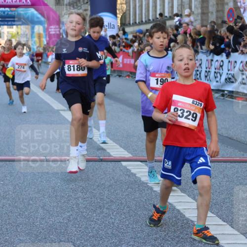 06.09.2026 - CURREX Alsterlauf Strokosch-Dieckow http://msf.ph/oto/10149380 06.09.2026 10:53:33 Ziel 190, 227, 233, 263, 266, 274, 275, 306, 314, 330, 336, 338, 402, 415, 445, 8124, 8180, 8181, 8329 meine-sportfotos.de