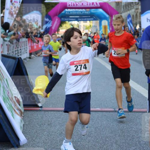 06.09.2026 - CURREX Alsterlauf Strokosch-Dieckow http://msf.ph/oto/10149392 06.09.2026 10:53:36 Ziel 159, 190, 219, 263, 265, 266, 274, 275, 306, 314, 330, 336, 338, 402, 415, 445, 8124, 8180, 8181, 8329 meine-sportfotos.de