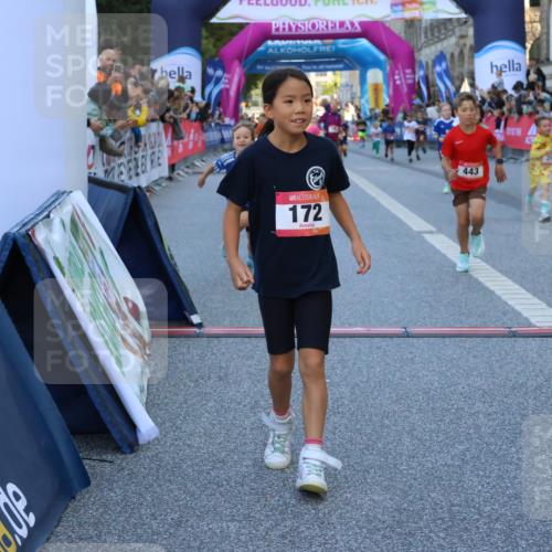 06.09.2026 - CURREX Alsterlauf Strokosch-Dieckow http://msf.ph/oto/10149425 06.09.2026 10:53:58 Ziel 157, 172, 177, 185, 195, 203, 208, 216, 218, 221, 243, 292, 302, 320, 334, 362, 404, 414, 418, 443, 8101, 8196, 8221, 8252 meine-sportfotos.de