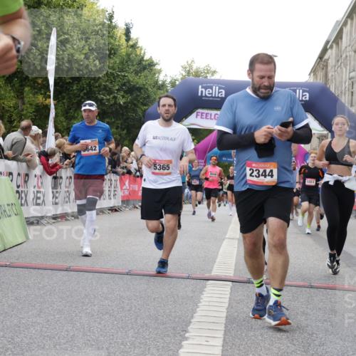 06.09.2026 - CURREX Alsterlauf Yannick Fuchs http://msf.ph/oto/10149943 06.09.2026 09:51:05 Ziel 2200, 2344, 3279, 3664, 3700, 4681, 4687, 4895, 5365, 5551, 5609, 5642, 5977, 6204, 6277, 8049, 8195 meine-sportfotos.de