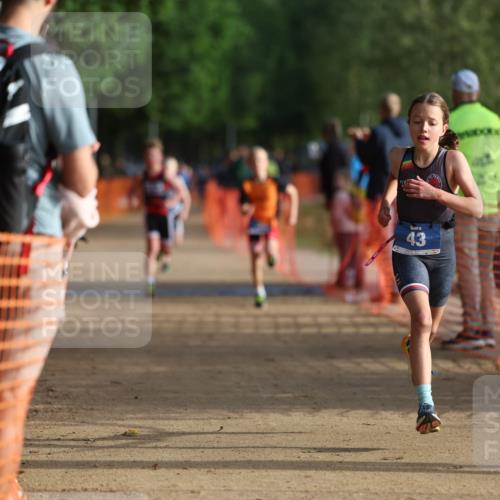 06.09.2026 - 20. Norderstedt Triathlon Mo-Foto http://msf.ph/oto/10154351 06.09.2026 09:09:34 Laufen 43, 2 meine-sportfotos.de