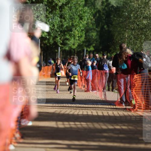 06.09.2026 - 20. Norderstedt Triathlon Mo-Foto http://msf.ph/oto/10155416 06.09.2026 09:41:14 Laufen 564, 622, 651 meine-sportfotos.de