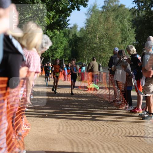 06.09.2026 - 20. Norderstedt Triathlon Mo-Foto http://msf.ph/oto/10155838 06.09.2026 09:42:28 Laufen 631, 607, 629, 629, 633, 633, 675, 675, 696, 696 meine-sportfotos.de