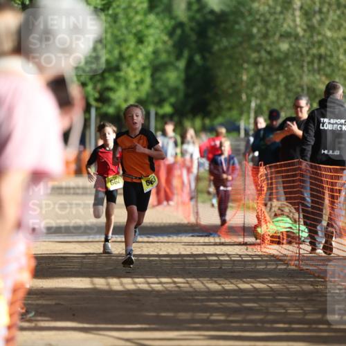 06.09.2026 - 20. Norderstedt Triathlon Mo-Foto http://msf.ph/oto/10156690 06.09.2026 09:44:40 Laufen 668, 663 meine-sportfotos.de