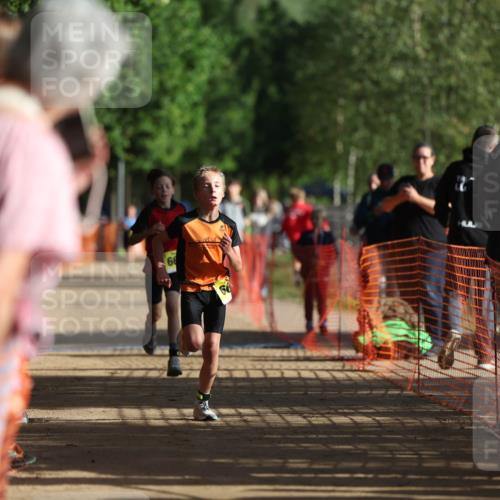06.09.2026 - 20. Norderstedt Triathlon Mo-Foto http://msf.ph/oto/10156696 06.09.2026 09:44:40 Laufen 66 meine-sportfotos.de