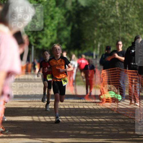 06.09.2026 - 20. Norderstedt Triathlon Mo-Foto http://msf.ph/oto/10156700 06.09.2026 09:44:40 Laufen 66, 66 meine-sportfotos.de
