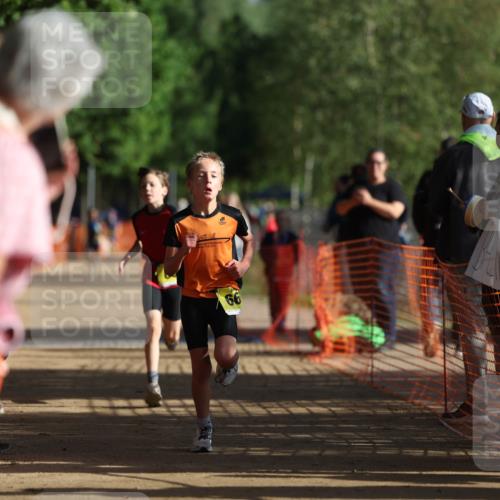 06.09.2026 - 20. Norderstedt Triathlon Mo-Foto http://msf.ph/oto/10156707 06.09.2026 09:44:41 Laufen 66, 10 meine-sportfotos.de