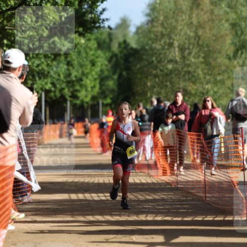 06.09.2026 - 20. Norderstedt Triathlon Mo-Foto http://msf.ph/oto/10157413 06.09.2026 09:48:22 Laufen 3, 66 meine-sportfotos.de