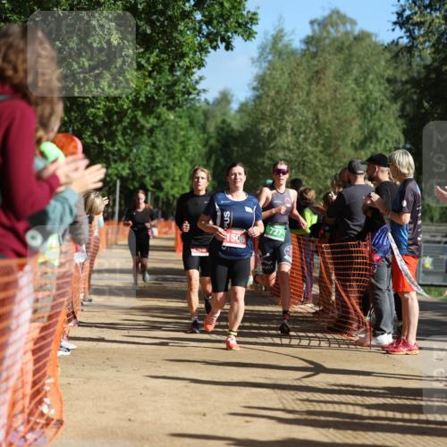 06.09.2026 - 20. Norderstedt Triathlon Mo-Foto http://msf.ph/oto/10160063 06.09.2026 10:40:57 Laufen 1506, 727, 705, 727, 1195, 1195, 1228, 1228, 1491, 1491, 1506, 1506 meine-sportfotos.de