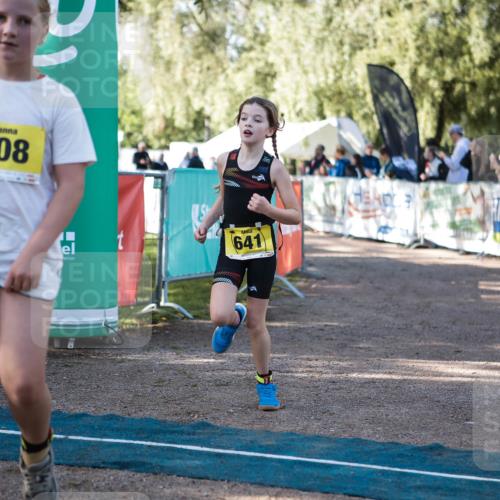 06.09.2026 - 20. Norderstedt Triathlon H.Heesch http://msf.ph/oto/10192670 06.09.2026 09:52:00 Ziel 608, 641 meine-sportfotos.de
