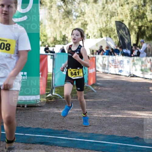 06.09.2026 - 20. Norderstedt Triathlon H.Heesch http://msf.ph/oto/10192671 06.09.2026 09:52:00 Ziel 608, 641 meine-sportfotos.de