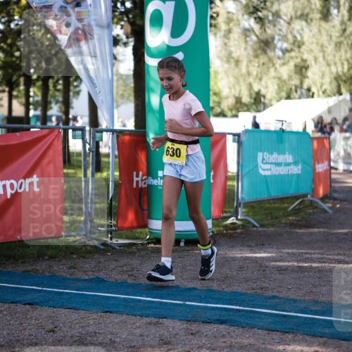 06.09.2026 - 20. Norderstedt Triathlon H.Heesch http://msf.ph/oto/10192910 06.09.2026 09:53:46 Ziel 630 meine-sportfotos.de