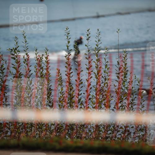 06.09.2026 - 20. Norderstedt Triathlon H.Heesch http://msf.ph/oto/10193220 06.09.2026 10:31:18 Ziel  meine-sportfotos.de