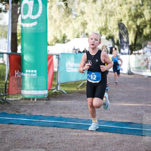06.09.2026 - 20. Norderstedt Triathlon H.Heesch http://msf.ph/oto/10197828 06.09.2026 09:12:34 Ziel 12, 21, 29 meine-sportfotos.de