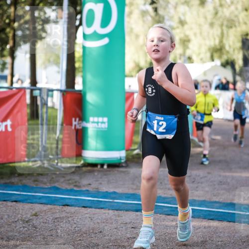 06.09.2026 - 20. Norderstedt Triathlon H.Heesch http://msf.ph/oto/10197844 06.09.2026 09:12:35 Ziel 12, 21, 29 meine-sportfotos.de