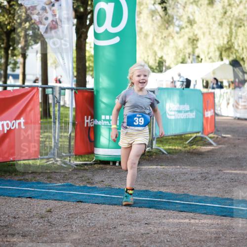 06.09.2026 - 20. Norderstedt Triathlon H.Heesch http://msf.ph/oto/10198117 06.09.2026 09:13:49 Ziel 39 meine-sportfotos.de