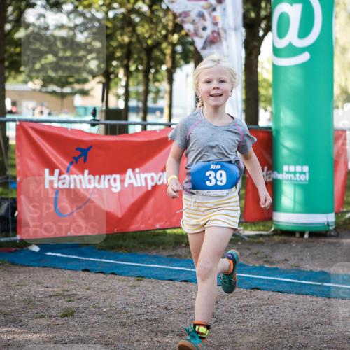 06.09.2026 - 20. Norderstedt Triathlon H.Heesch http://msf.ph/oto/10198137 06.09.2026 09:13:50 Ziel 39 meine-sportfotos.de
