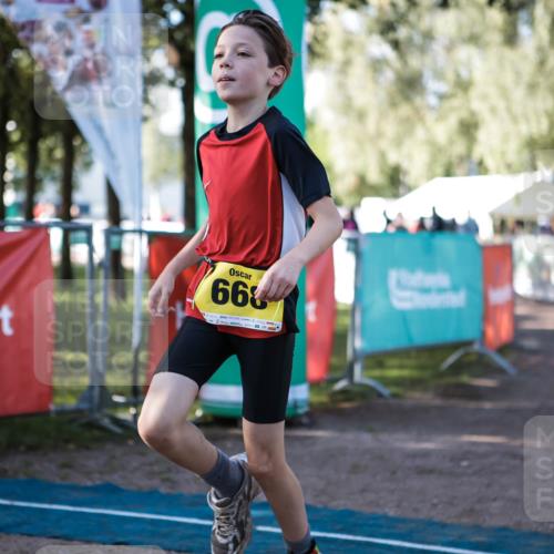 06.09.2026 - 20. Norderstedt Triathlon H.Heesch http://msf.ph/oto/10199406 06.09.2026 09:48:36 Ziel 628, 634, 668, 669, 696 meine-sportfotos.de