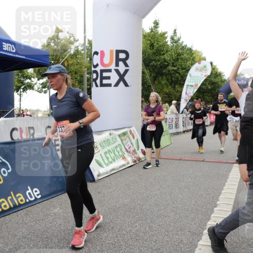 06.09.2026 - CURREX Alsterlauf Yannick Fuchs http://msf.ph/oto/10210373 06.09.2026 10:09:23 Ziel 2082, 2201, 2466, 2919, 3332, 3573, 4222, 4815, 5084, 5126, 5171, 5241, 5913, 6070, 8076, 8271, 8294 meine-sportfotos.de
